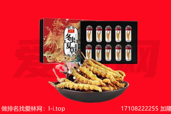 阿里回收虫草.jpg
